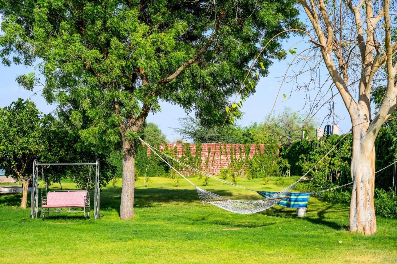 Holiday Farm Jodhpur Jodhpur  Exterior photo
